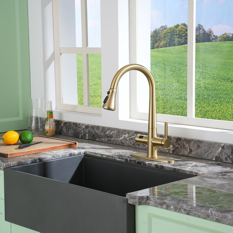 Willow 1.8 GPM Pull Down Kitchen Faucet with Deck Plate and Digital Display, Brushed Gold
