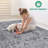 Oriental Non-Shedding Living Room Bedroom Dining Home Office Stylish And Stain Resistant Area Rug-1932083157