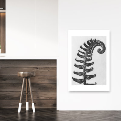«Polystichum Munitum», reproduction d'art rétro sur toile de cheval