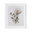Fleurs simples pressées, impression sous verre encadrée, lettrée et doublée-207364605-207364604