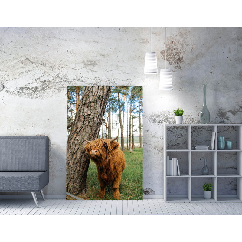 Cute highland cow by tree Canvas Wall Art Print Picture, 60.96cm H x 40.64cm W