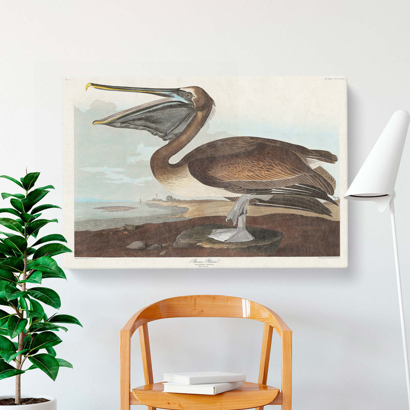A Brown Pelican - Wrapped Canvas Painting, 40cm H x 60cm W x 3cm D