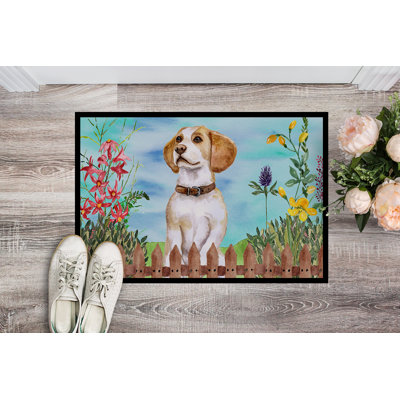 Non-Slip Outdoor Doormat