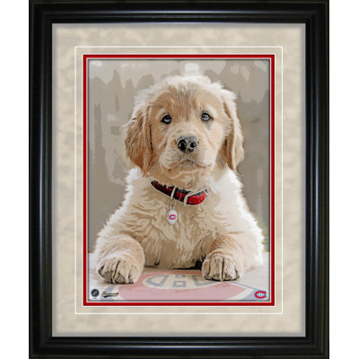 Montreal Montreal 12,5X15, reproduction encadrée pour chien