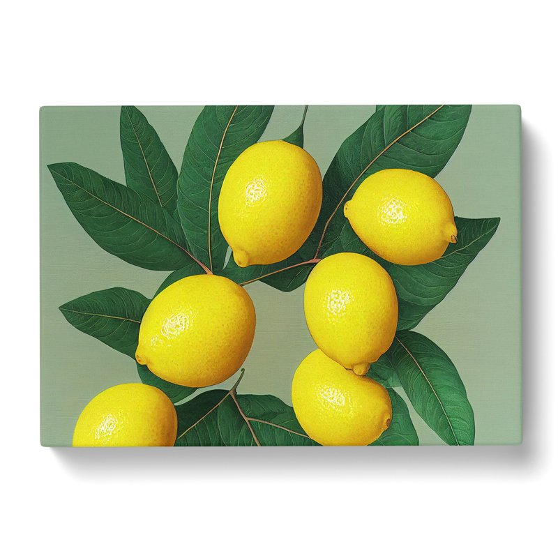 Citrus Fruit Lemons Vol.2 - Wrapped Canvas, 35cm H x 50cm W x 3cm D