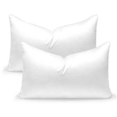 Oreillers luxueux en duvet de luxe, oreillers de lit de qualité supérieure avec housse respirante et respectueuse de la peau