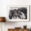 Chevaux sauvages - Photographie avec cadre photo-2049960919-2049960875