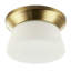 Flush Mount-1279895736