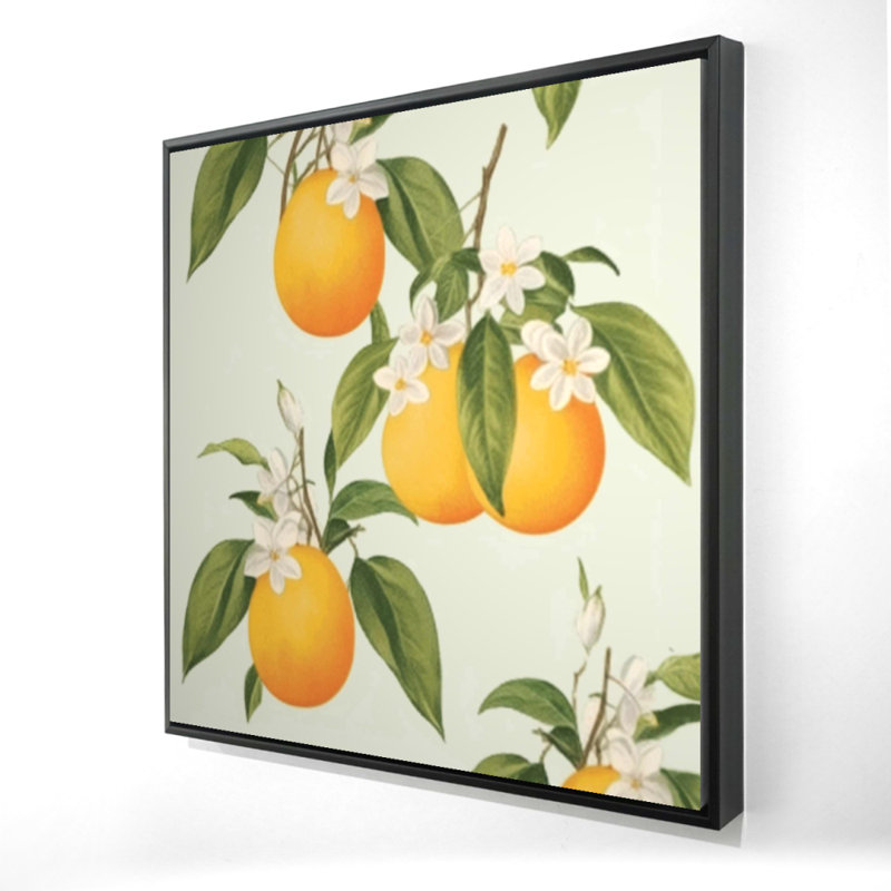 " Suspended Oranges "