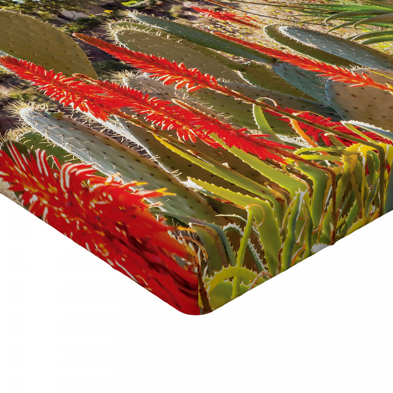 Microfiber Fitted Sheet, Queen Fitted Sheet