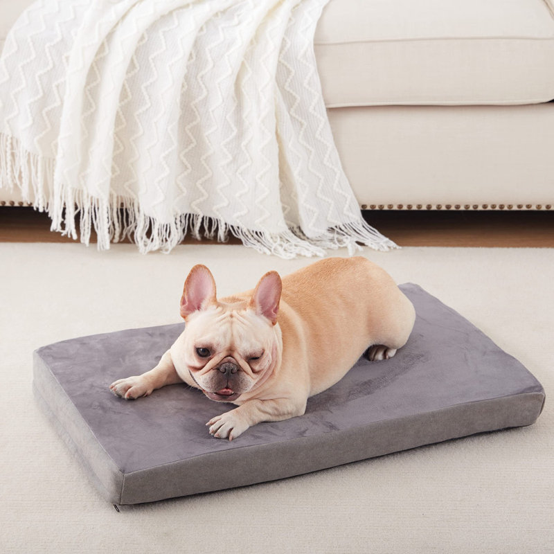 Lit orthopédique pour chien avec mousse à mémoire de forme, Gris, Grand (H 3 po x l 35 po x P 22 po)