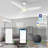 Alcia 52'' Ceiling Fan with LED Lights-784732637