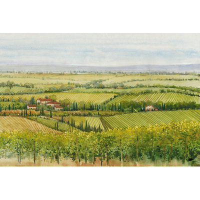 Wine Country View I by Tim OToole - Wrapped Canvas Painting