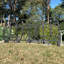 32 cm H x 60 cm W Plastic Lawn Edging Fencing with 5 Panel(s) Included