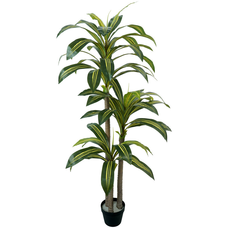 Artificial Dracaena Plant, 150cm /105cm Tall Indoor Faux Tropical Tree with Realistic Variegated Leaves, Maintenance Free Decorative Floor Plant for Living Room Office Bedroom
