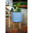 Ceramic Pot Planter