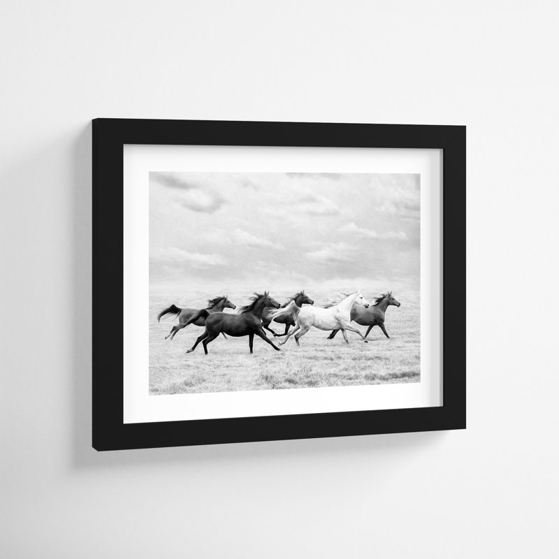 Horse Run I by PHBurchett, 11" H x 13" W, Black