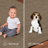Covety Indoor / Outdoor Rug-393944720