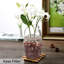 Natural Stone Landscape & Nature Garden Stone