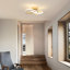  Elegant Clover LED Flush Mount