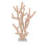 Blush Reef Coral Sculpture