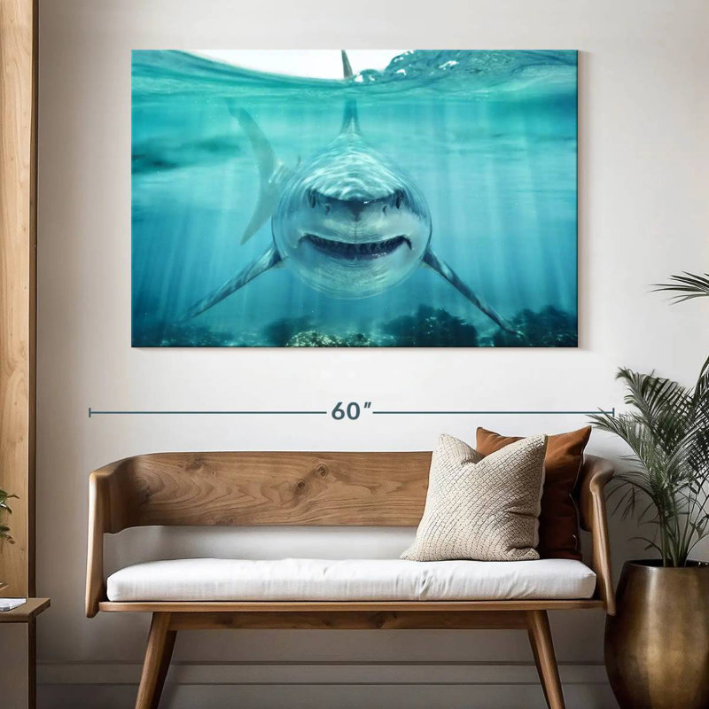 Brampt Predatory White Shark, 34" H x 51" W