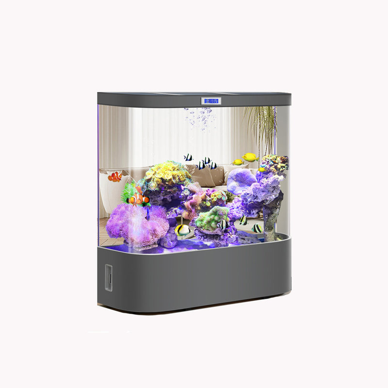 31.5"Medium-sized filterless water-changing aquarium, gray aquarium, 54.33" H x 31.5" W x 19.69" D