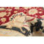 Tapis en laine rouge 9 pi 2 po x 11 pi 9 po à la main one-of-kind-noué la 2010 pako Arabelle