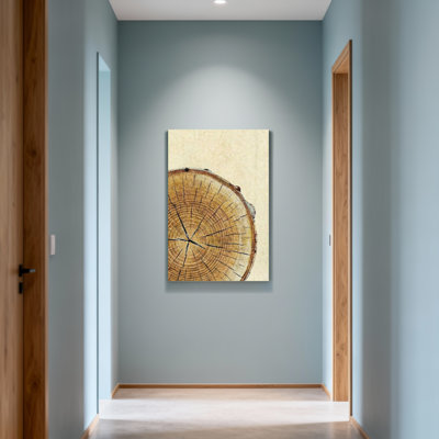 Plants & Flowers Tree Ring Pattern On Canvas Print