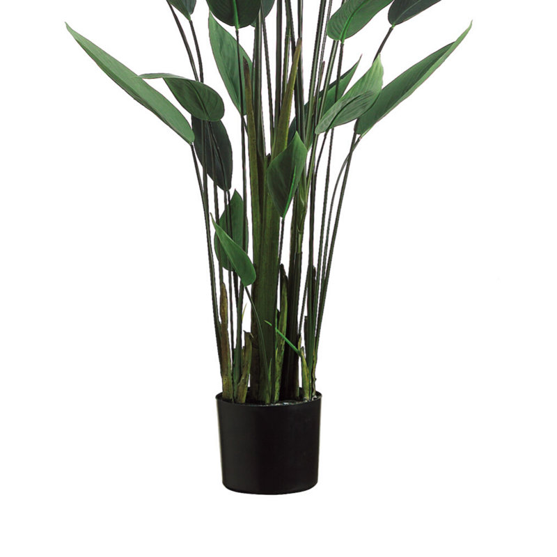 5.5' Faux Water Canna in Liner