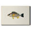 Toile tendue avec collection Tropical Fish Collection III