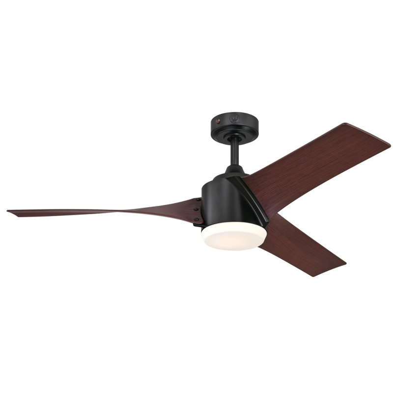 Schaitman Ceiling Fan with LED Lights