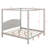 Aaditya Canopy Bed-878821894-878821892