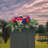Memorial Cemetery flower Rose Headstone Spray