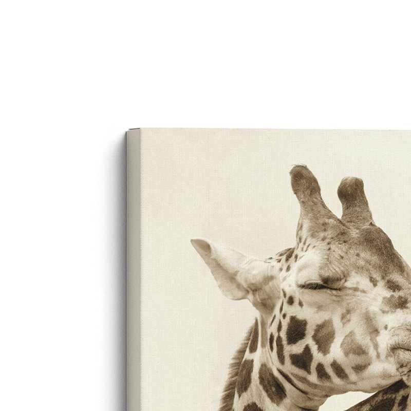 Wrapped Canvas Print, 32" H x 48" W x 1.25" D