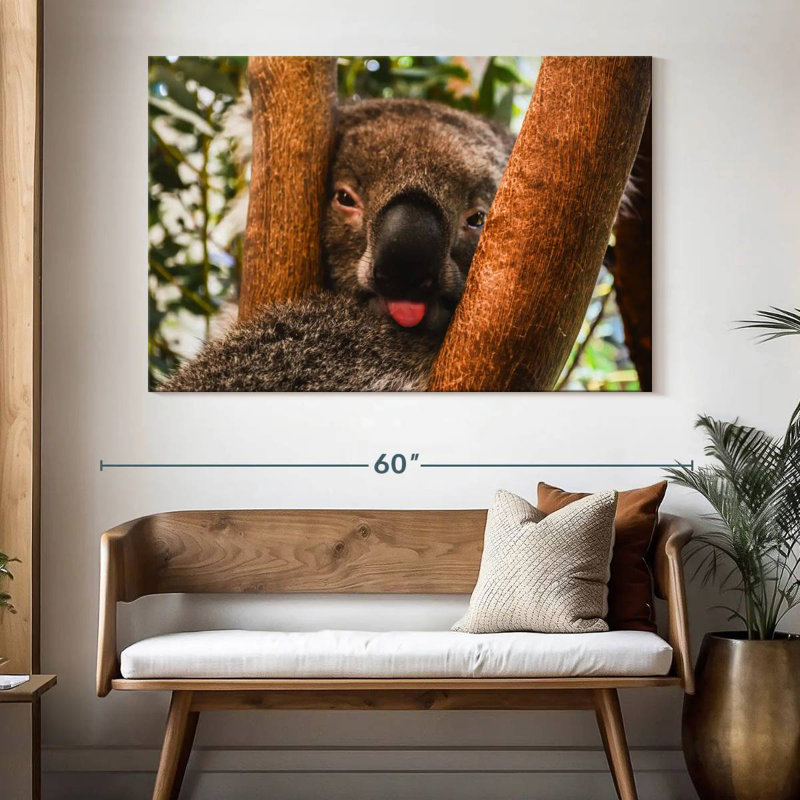 Brampt Funny Koala, 34" H x 51" W