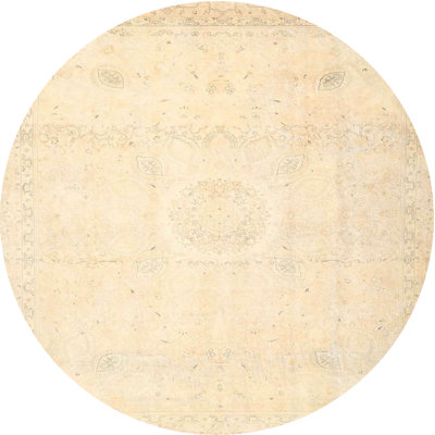 Berte Oriental Indoor Rug