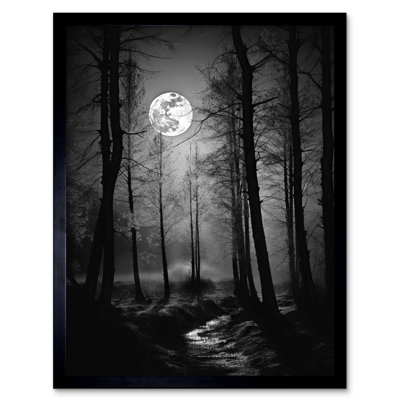 Taran Full Moon Over Misty Forest Black And White Photo - Single Picture Frame Print