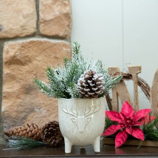 https://assets.wfcdn.com/im/82987247/resize-h310-w310%5Ecompr-r85/1245/124589715/xmas-mix-in-staghead-ceramic-footed-pot.jpg