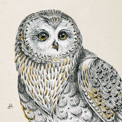 Beautiful Owls IV - rétro