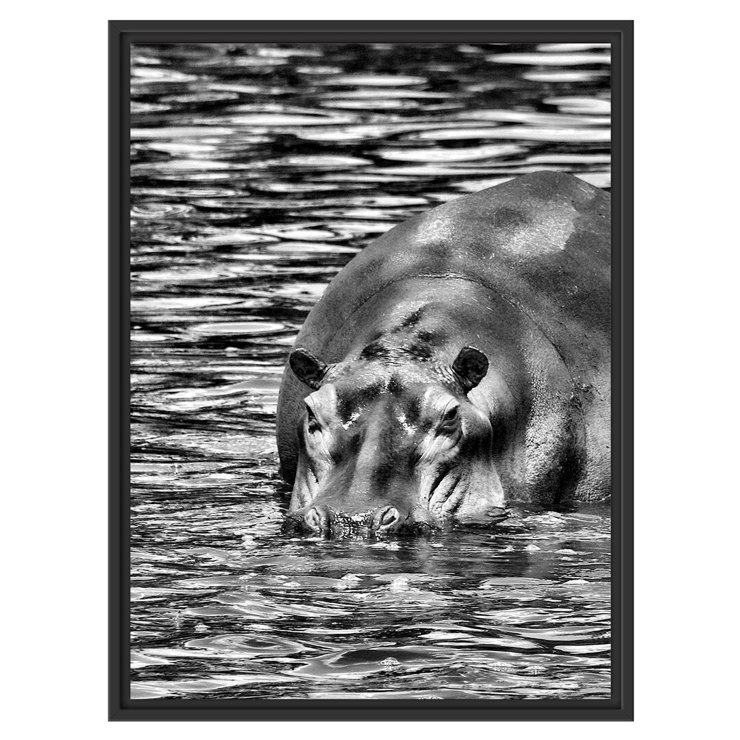 Gerahmtes Wandbild zwei FlusspferdeWasser