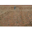 Traditional   Area Rug 10x12