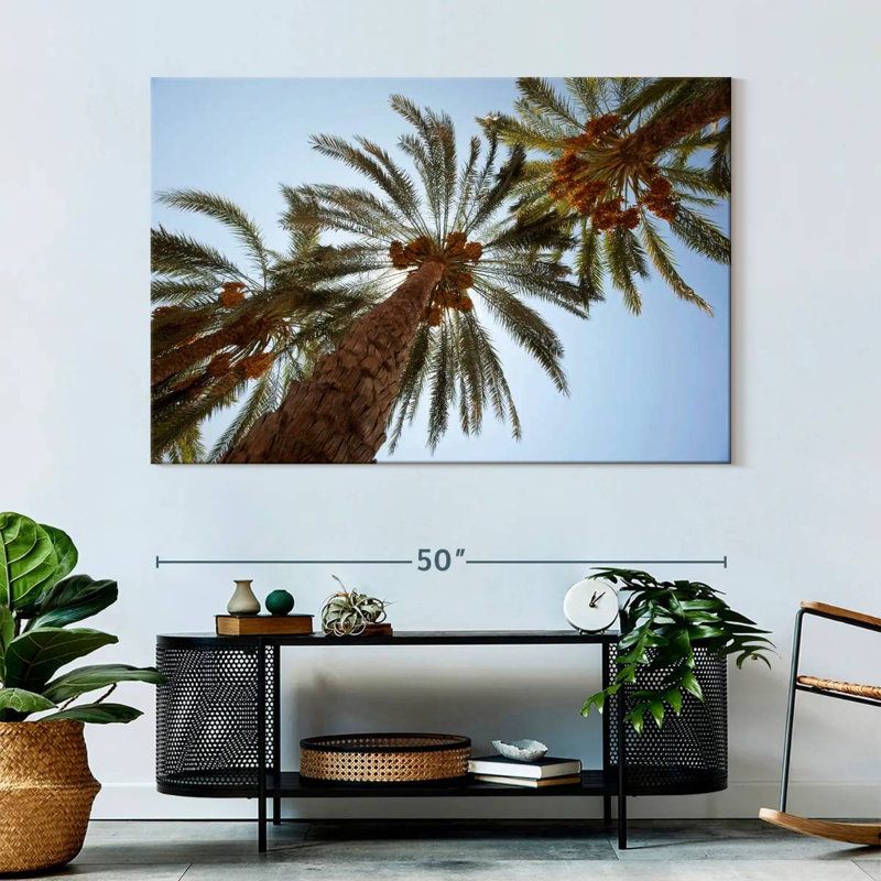 Harnek Under The Date Palm Trees
