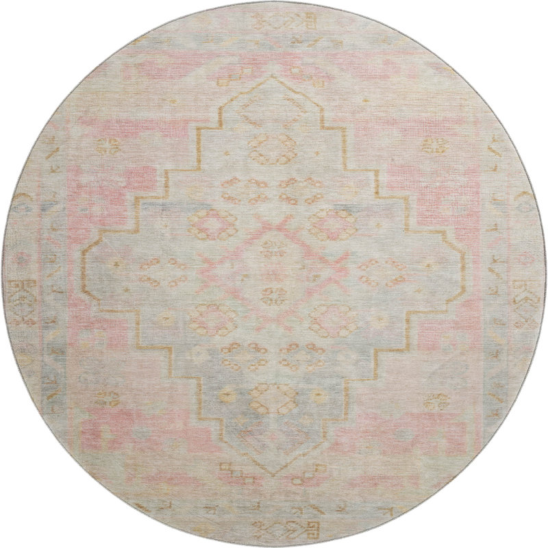Premium Machine Washable Tara AMF1918 Border Rug, Round 8'