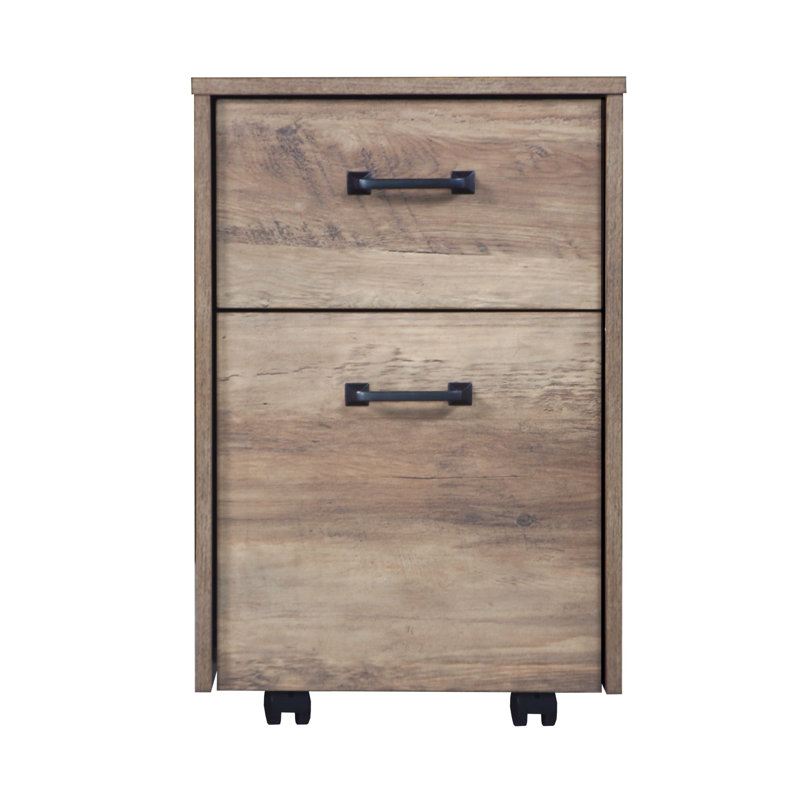 Coble 15.6'' Wide 2 -Drawer Mobile File Cabinet