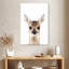 Brampt Cheeky Fawn-108423496