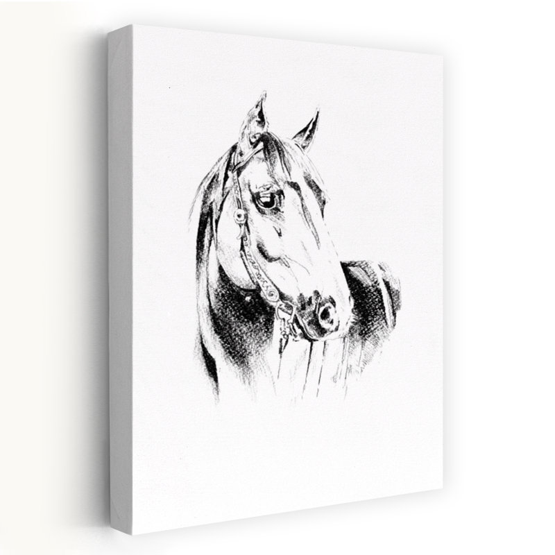 Noble Horse Portrait Classic Dramatic Elegant Horse Portrait Wall Art Print, 60.96cm H x 40.64cm W