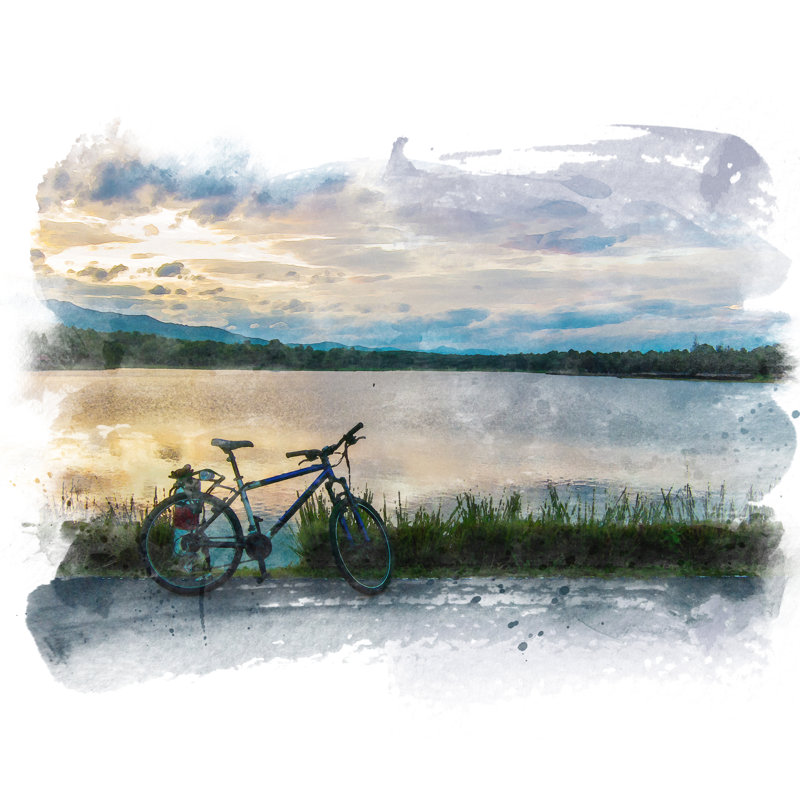Bicycle - Wrapped Canvas Print, 122cm H x 122cm W x 3.8cm D