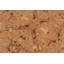 Tapis unique brun clair de 8 pi 8 po x 11 pi 8 po par Arshs Fine Rugs