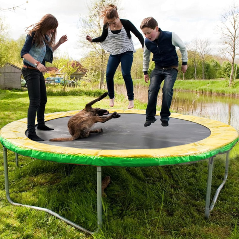 Coussin de sécurité pour trampoline AOTOB, couvre-ressort de remplacement universel pour trampoline de 14 pi, coussin de protection pour ressorts de bordure, résistant à l'eau, olivine